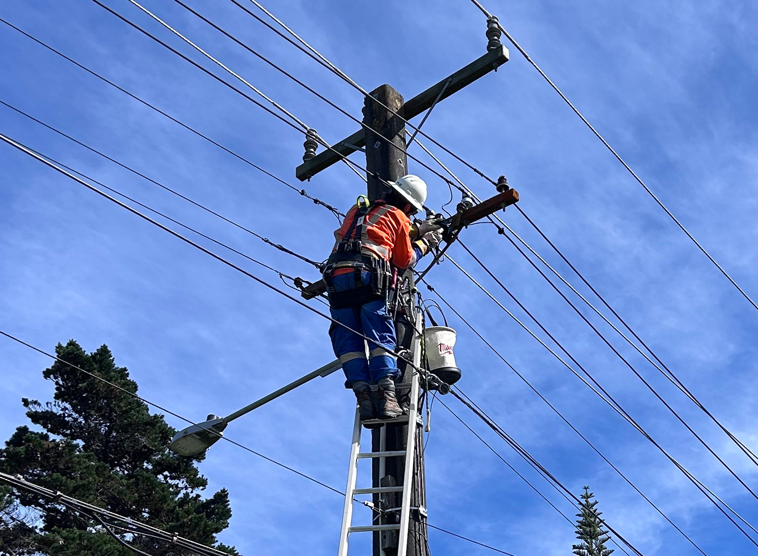 Connections and Inspections Limited